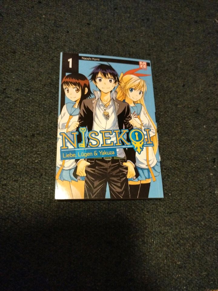 Nisekoi Manga Band 1 in Niedernberg