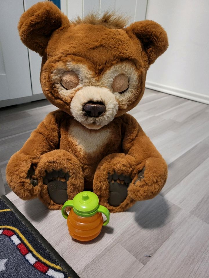 Sprechender Teddy Bär in Wolfsburg