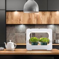 Hama LED Smart Garden Home Gewächshaus Mini Gewächshaus Hannover - Bothfeld-Vahrenheide Vorschau