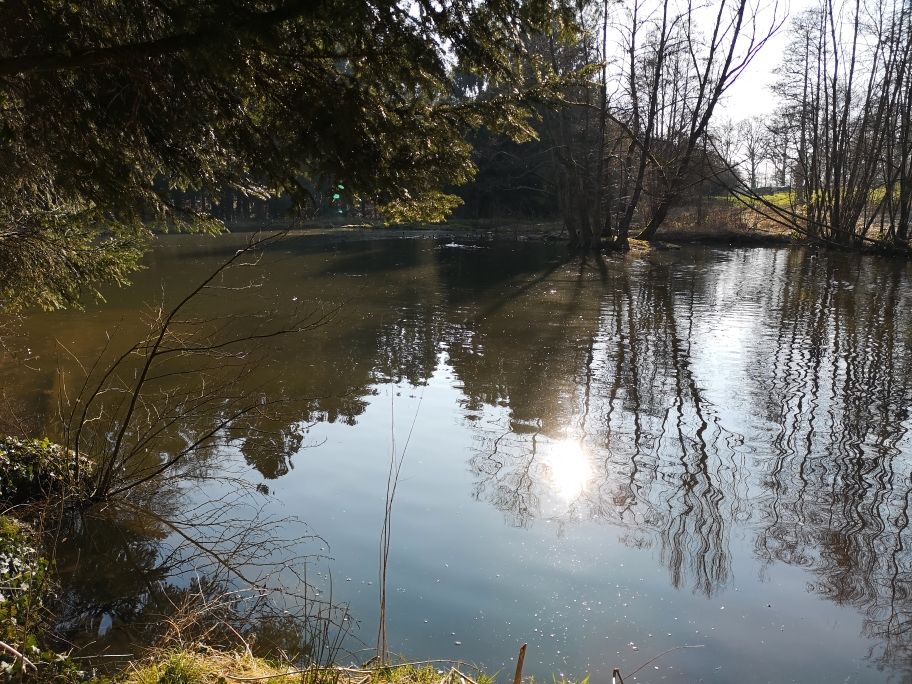 Fischzuchtanlage mit Genehmigung !!! in Lindlar