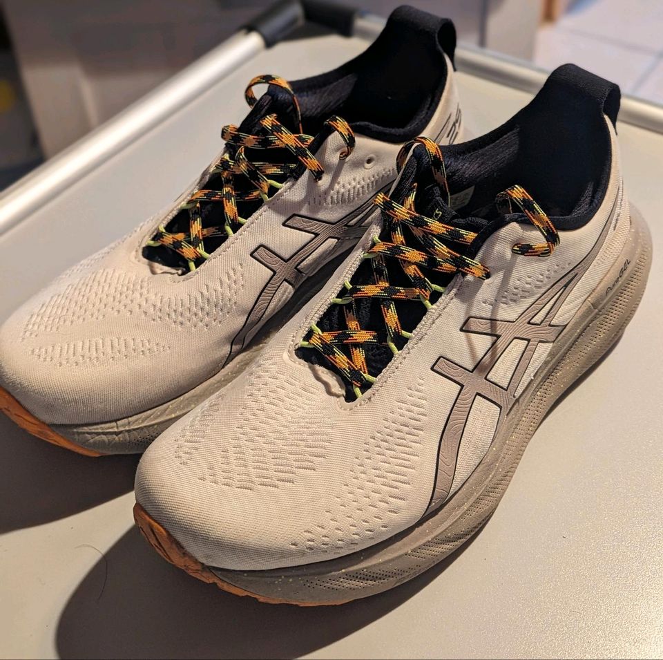 Asics Gel Nimbus 25 TR 46 in Dessau-Roßlau