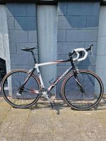 Rennrad Specialized 58 Rahmen Nordrhein-Westfalen - Krefeld Vorschau