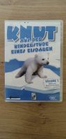 DVD Knut - Aus der Kinderstube eines Eisbären Kr. Dachau - Odelzhausen Vorschau