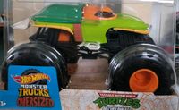 Hot-wheels Monster-Trucks Ninja Turtles 1:24 Baden-Württemberg - Plüderhausen Vorschau