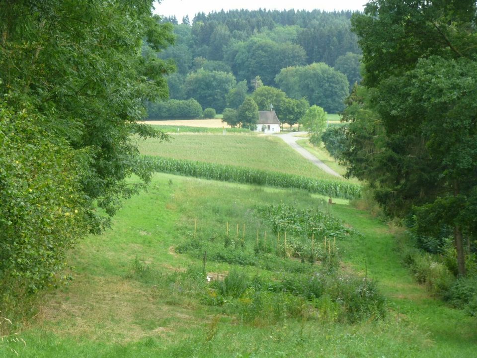 Freizeitgrundstückle - Wäldchen-Krautland in Illmensee