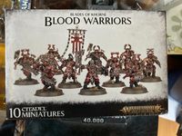 Blood Warriors AoS Warhammer Niedersachsen - Bovenden Vorschau