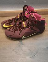 Sneaker Set Größe 50,5 16  Nike LeBron 12 Double Helix+Dunk Force Nordrhein-Westfalen - Witten Vorschau