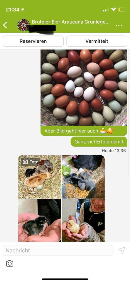 Bruteier Hühner Küken Buntleger Marans Orpington in Lemwerder