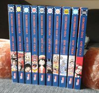 One Piece Band 96 - 105, Deutsch,  einmal gelesen Nordrhein-Westfalen - Werdohl Vorschau
