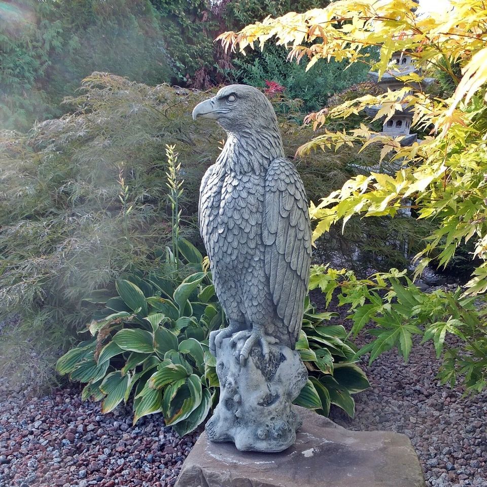 Steinfigur Adler Greifvogel Raubvogel Außenbereich Garten Dekorat in Korschenbroich