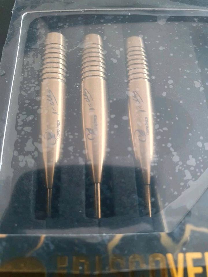 Andrew Gilding Limited Edition darts 111/200 in Rheda-Wiedenbrück