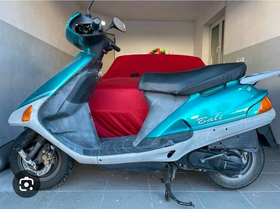 Suche Honda Bali in Höxter
