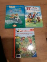 3 Bücher erste Lesestufe, Leserabe, Leselöwen, Lesepiraten Bayern - Neuschönau Vorschau