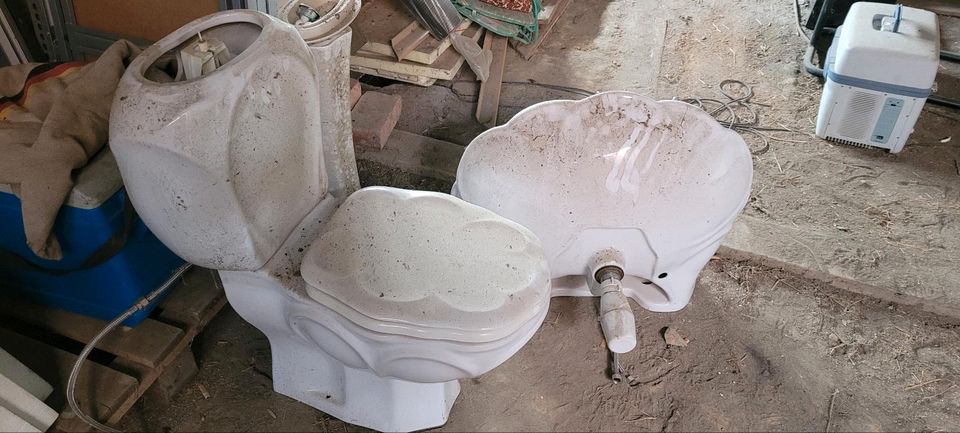 Sanitär-Set in Muschelform(Waschbecken, Klo, Säule) 150€ Komplett in Schwedt (Oder)