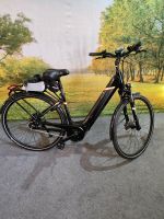 Pegasus Ebike Bosch Mittelmotor Rh 45 Niedersachsen - Molbergen Vorschau