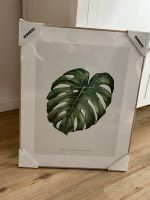 NEU / Bild / Wandbild / Monstera / Blatt / Planze / Boho Hessen - Hanau Vorschau