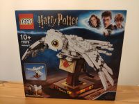Lego Harry Potter 75979 Hedwig (neu & OVP) Leipzig - Leipzig, Zentrum Vorschau