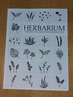 Herbariumsammelbuch Thüringen - Nordhausen Vorschau