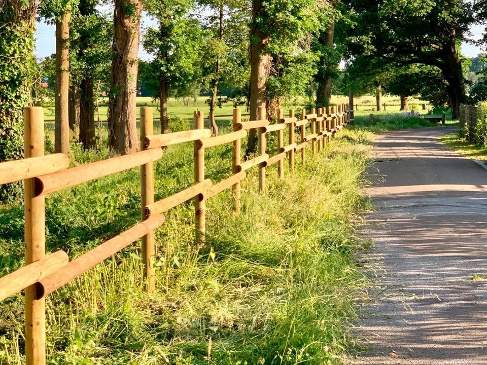 Pferdezaun Weidezaun Koppelzaun Pfähle - 100 METER - KOMPLETTSET in Olsberg