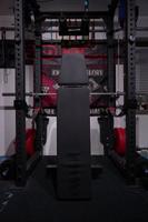 Rogue Manta Ray Adjustable Bench (No Eleiko / ATX) Baden-Württemberg - Emmendingen Vorschau