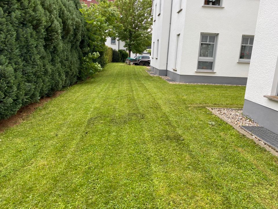 Rasen-/ Garten-/ Außenanlagenpflege, Heckenschnitt, Baumfällungen in Linden