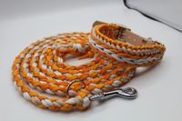 Paracord Set - Halsband und Leine Hund Nordrhein-Westfalen - Witten Vorschau