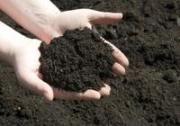 Gesiebter Mutterboden – Ideal für Ihren Garten! Lieferung Nordrhein-Westfalen - Wesseling Vorschau