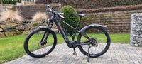 E-Bike Conway Cairon S5.0 Hessen - Mittenaar Vorschau