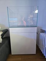 Aquarienkombination ,Weißglas,  Aquascape, Süsswasser München - Allach-Untermenzing Vorschau