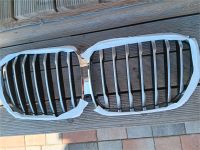 BMW X5 G05 M Chrome-Niere Mecklenburg-Vorpommern - Kruckow Vorschau