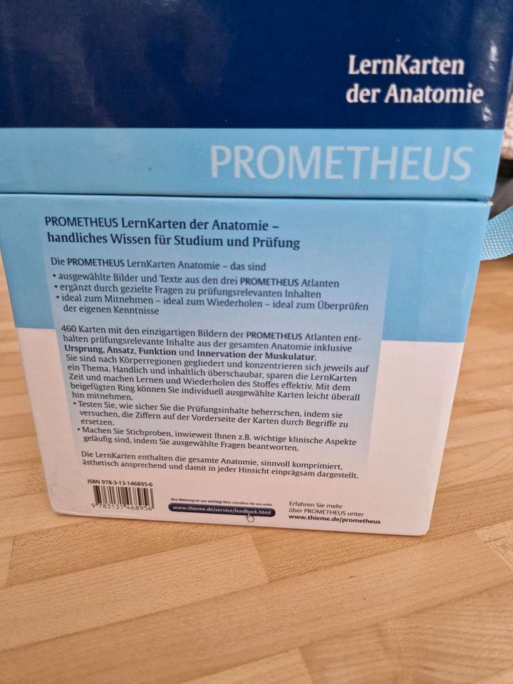 Lernkarten der Anatomie Prometheus in Fellbach