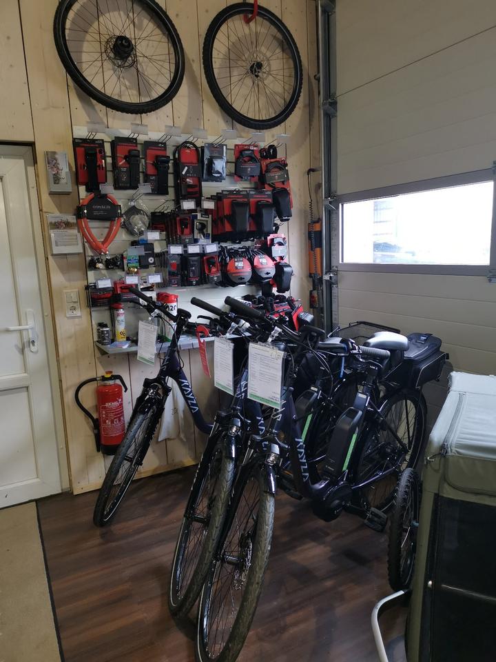 E-Rad Inspektion, E-Bike Inspektion, Bosch, inkl. Software-Update in Esens