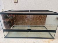 Exo Terra Glas Terrarium 90x45x45 cm Brandenburg - Werneuchen Vorschau