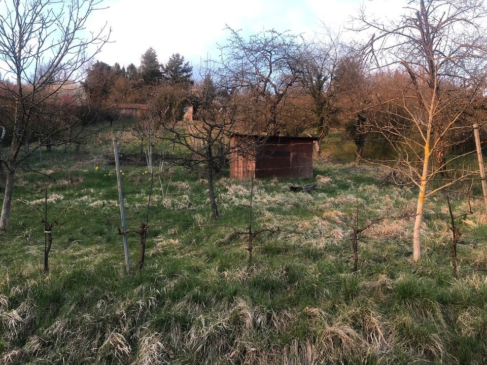 Grundstück Gartengrundstück zwischen Schorndorf und Winterbach in Göppingen