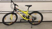 Mountainbike 26 Zoll Jugendrad Alpina Brandenburg - Doberlug-Kirchhain Vorschau