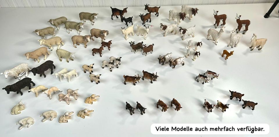 Schleich —> Wildlife | Farmworld | Waldtiere | Dinos uvm ⚠️ in Moormerland