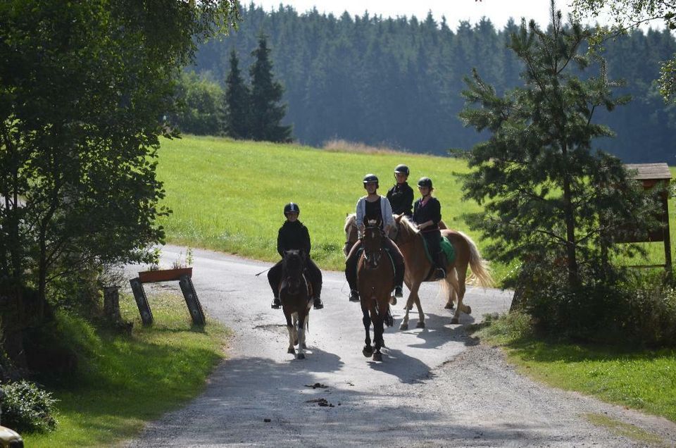 Ponyführen auf dem Reiterhof Finkenmühle in Weißenstadt