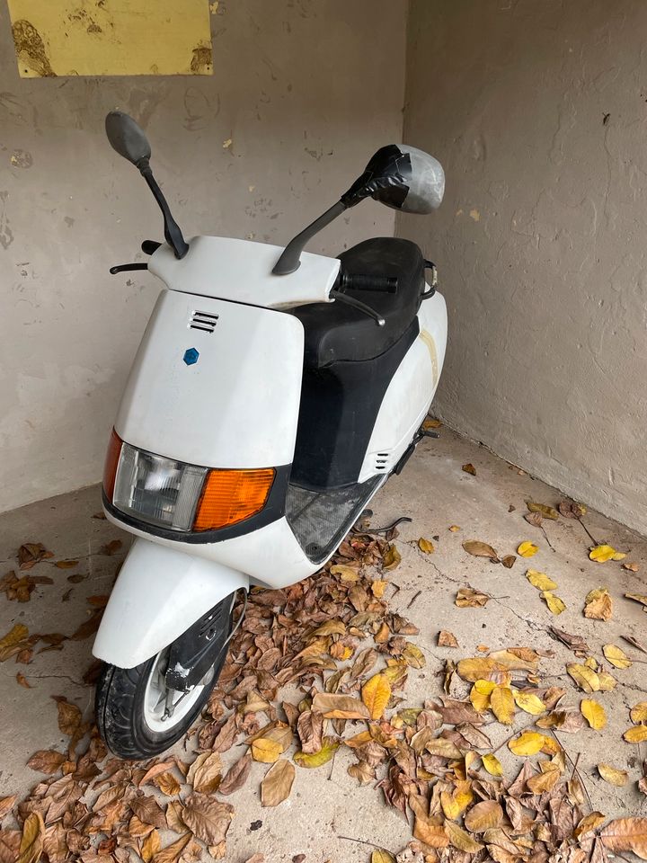 Piaggio sfera 50 nsl roller 50ccm scooter 50er in Rheinland-Pfalz - Reil |  Motorroller & Scooter gebraucht | eBay Kleinanzeigen ist jetzt Kleinanzeigen