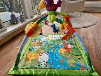 Spielbogen Fisher Price Rainforest Nordrhein-Westfalen - Leopoldshöhe Vorschau