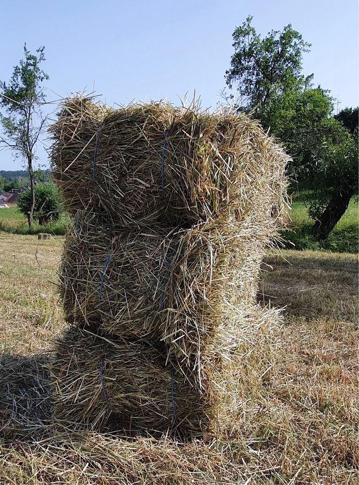 Heu und Öhmd in kleinen Ballen in Sachsenheim