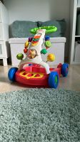 Lauflernwagen Fisher Price Rheinland-Pfalz - Sinzig Vorschau