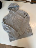 Puma Hoodie Hessen - Flörsheim am Main Vorschau