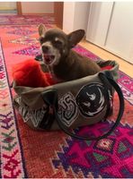 Replay Tasche Hundetasche Hundebett Chihuahua Heavy Metal Baden-Württemberg - Böblingen Vorschau