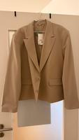 Blazer XL NEU Dresden - Innere Altstadt Vorschau