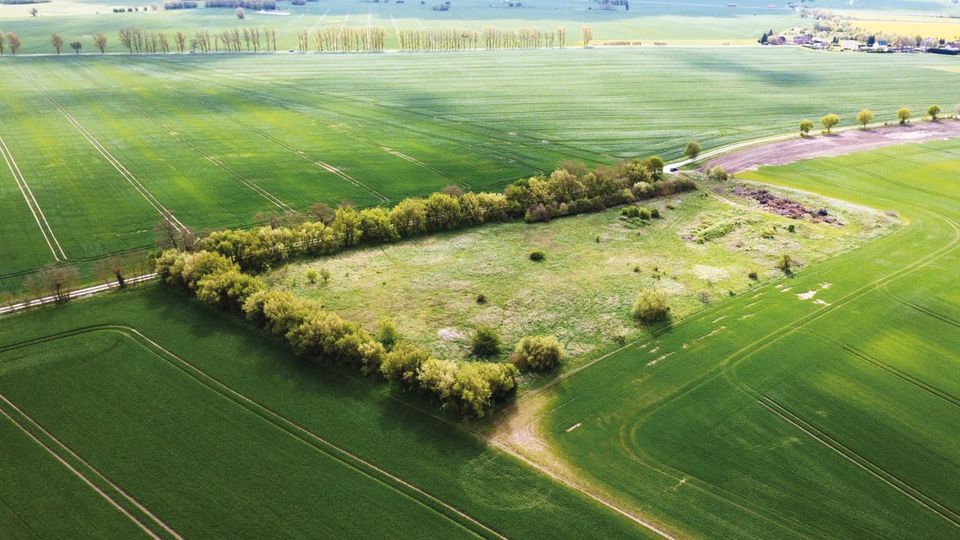 1,6 ha Grünfläche  ehemalige Deponie in Uckerland