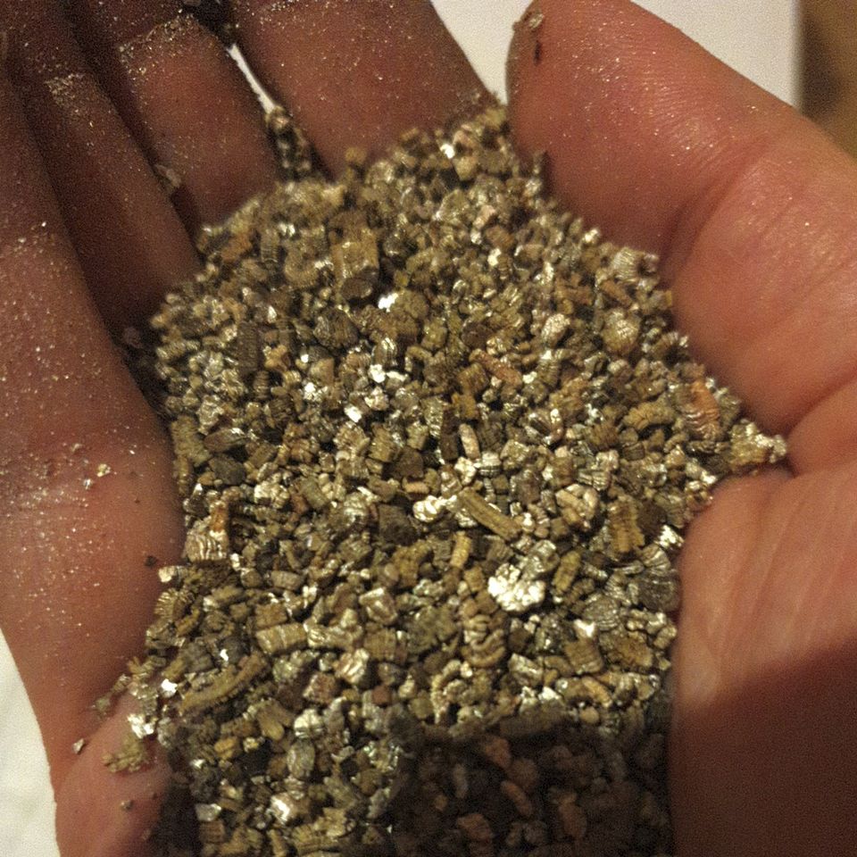 3Liter Vermiculit, Vermiculite, Pilzsubstrat, Deckschicht, Casing in Berlin