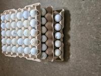 100 Callaway u.Titleist Golfbälle Bayern - Günzburg Vorschau