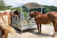 Pferderaufe Kerbl Weide Wiese  mit Schutz  auch für Kuh Rinder Hessen - Neuhof Vorschau