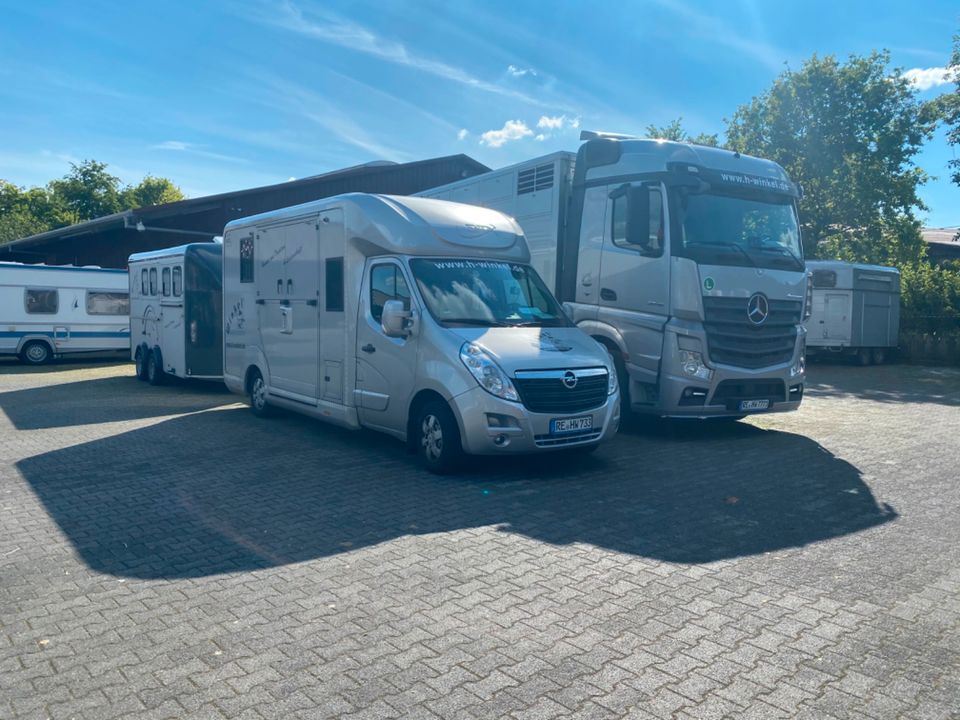 Pferde Transport Taxi Deutschland Holland Österreich Ungarn in Dorsten