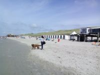 Ferienhaus in Nordholland frei, auch mit Hunden, strandnah, ruhig Düsseldorf - Unterbach Vorschau